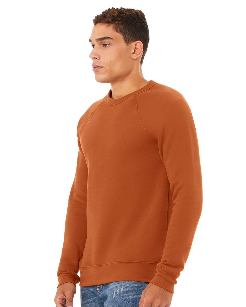 mdl Autumn Color Unisex Sponge Fleece Raglan Crewneck Sweatshirt