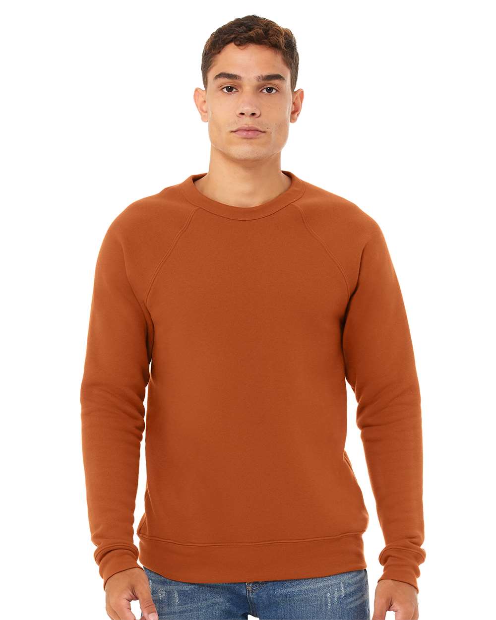 mdl Autumn Color Unisex Sponge Fleece Raglan Crewneck Sweatshirt