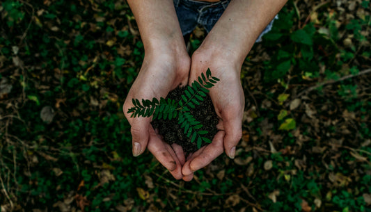 Making a Difference with Sustainable Blank Apparels