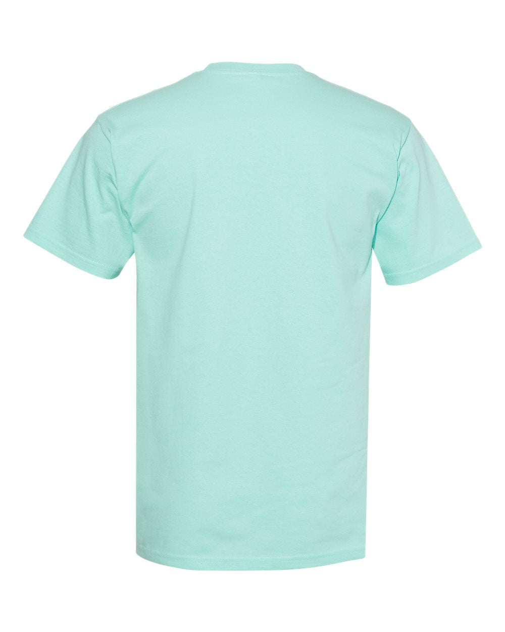 American Apparel Midweight Cotton Unisex Tee 1701 #color_Celadon